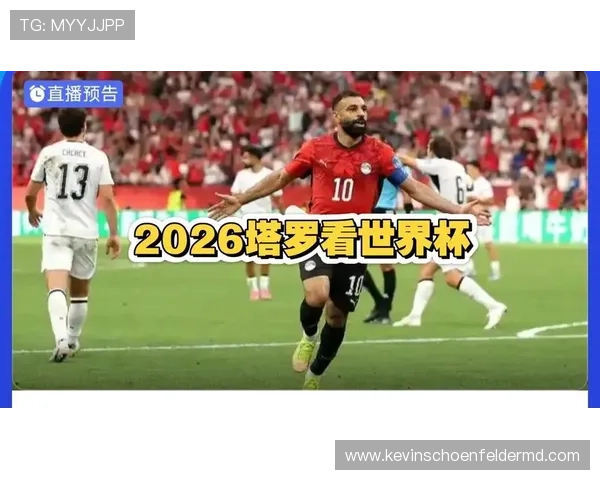 世界杯伊朗vs埃及比赛球衣细节解析：材质、标志与球队身份的完美结合